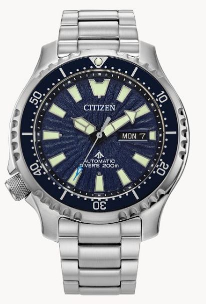 Citizen Citizen Eco-Drive Promaster Dive Automatic Watch | Harris