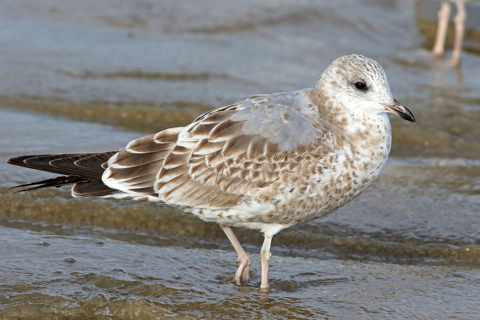 111186.jpg?width=1024&height=