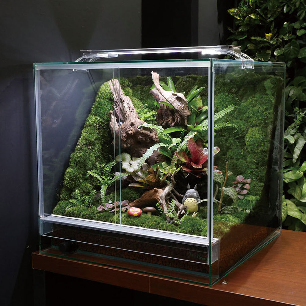 パルダリウム・テラリウム水槽W600×D300×H450