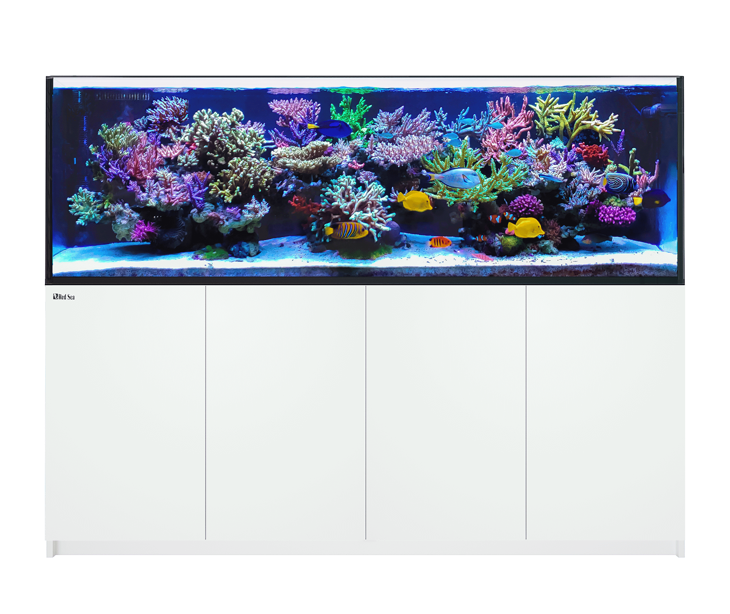 The All-new REEFER G2 モデル&仕様 - Red Sea