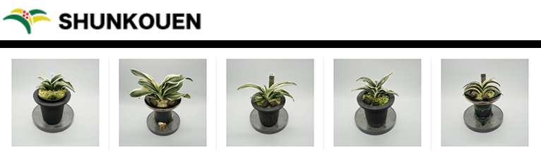 春光園 紹介ページ – Gadenetガデネット