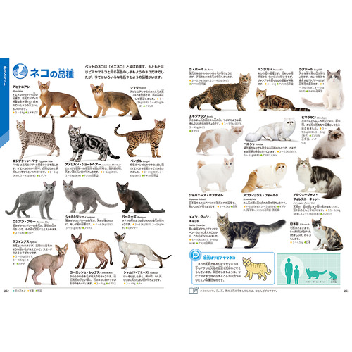 学研の図鑑LIVE（ライブ）|動物 新版|姉崎 智子(監修)|ショップ学研＋