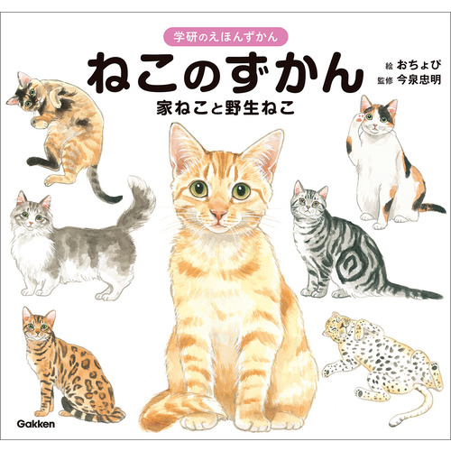 学研のえほんずかん|ねこのずかん|今泉忠明(監修) おちょぴ(絵