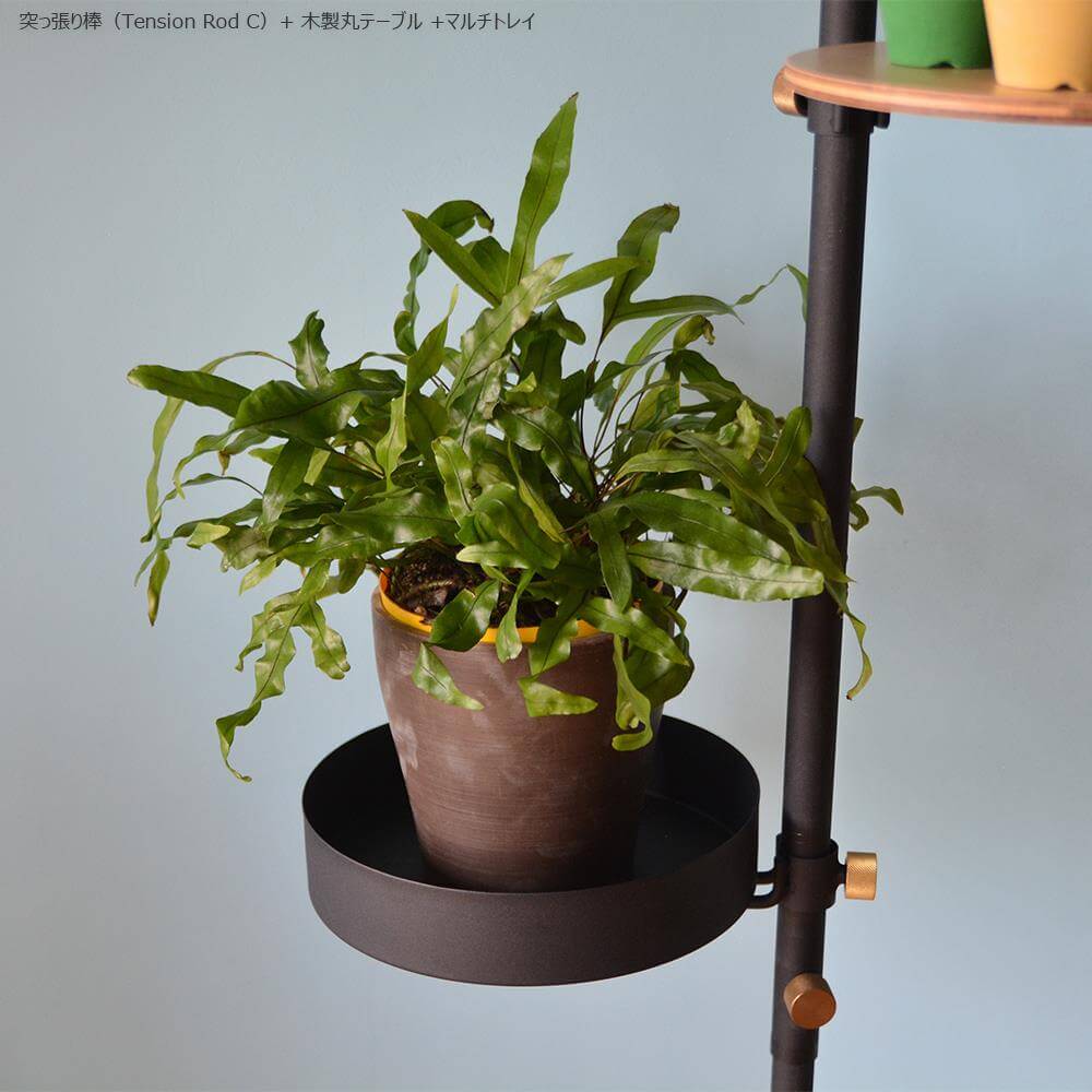 DRAW A LINE(ドローアライン) モリモリツリー 突っ張りセット ブラック