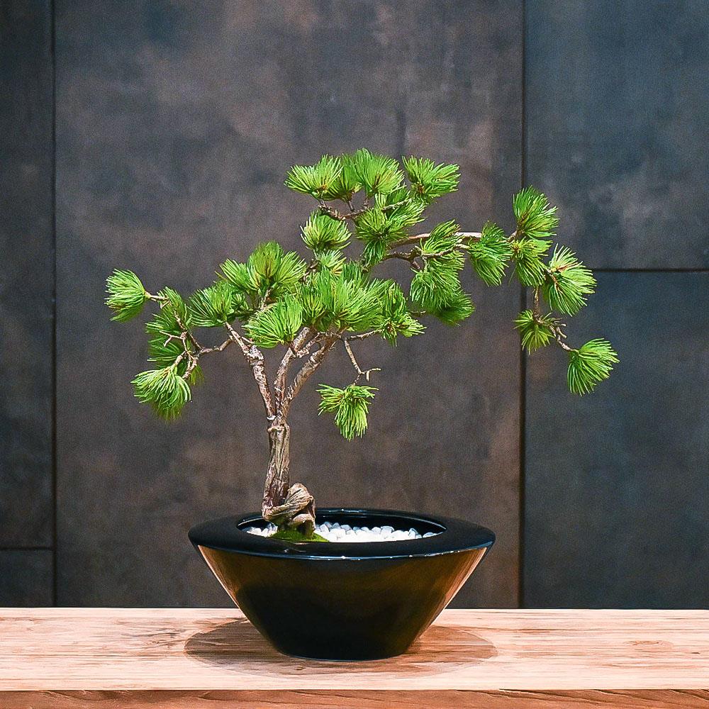 CUPBON 松 大鉢 盆栽 ( フェイクグリーン 人工盆栽 カップボン