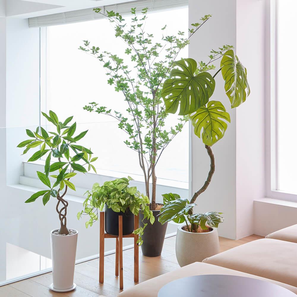 モンステラ 高さ152cm (フェイクグリーン フロアグリーン 観葉植物