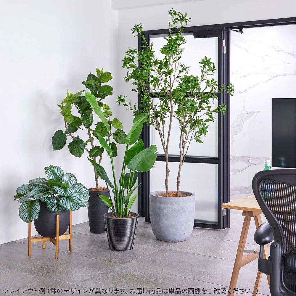 アセビ キューブプランター 高さ215cm フェイクグリーン 観葉植物 の