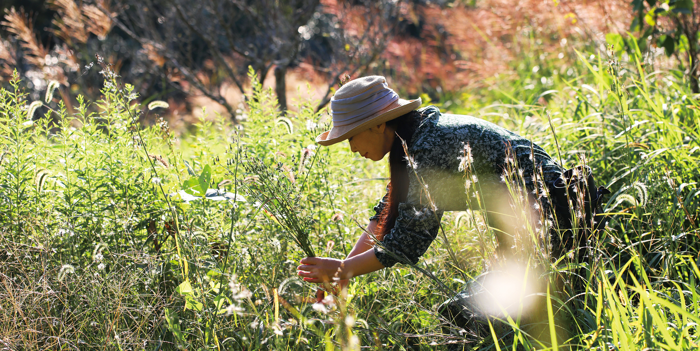 GARDENS LIFE 3 - GARDENS（ガーデンズ） | 香川県高松市の造園