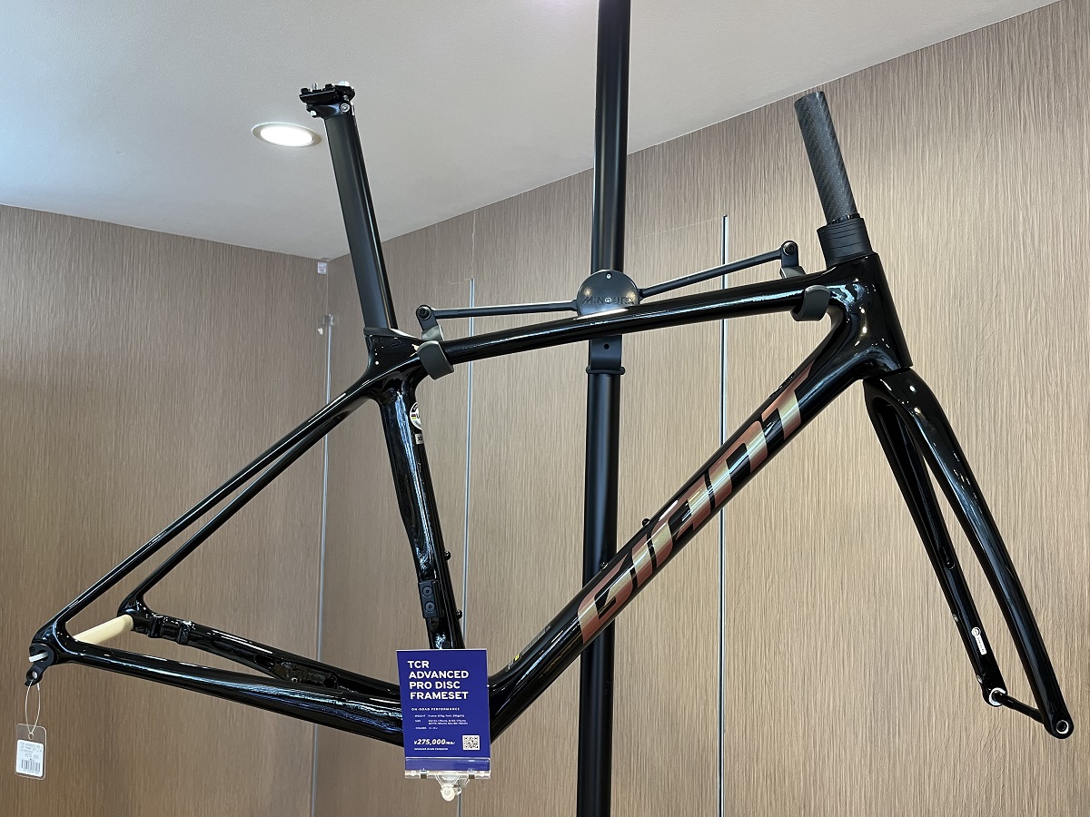 2024年モデル PROPELとTCRのフレームセットが入荷しました