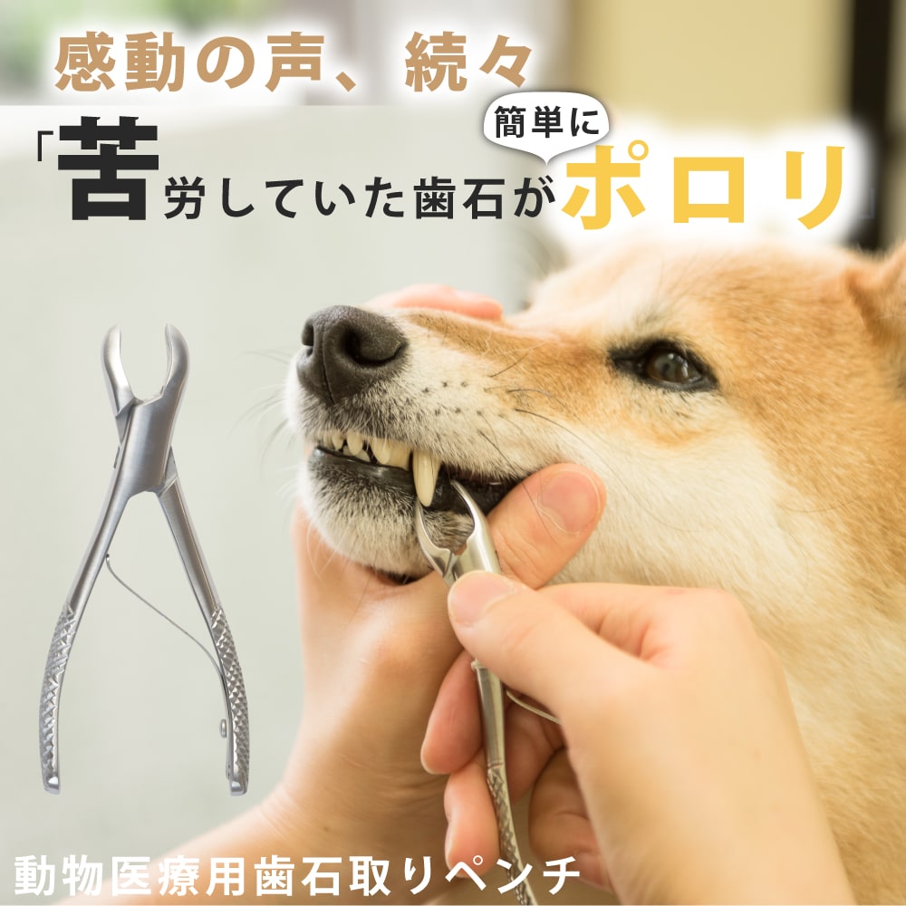 愛犬・愛猫用歯石取りペンチ｜ドッグフードの通販・帝塚山ハウンドカム