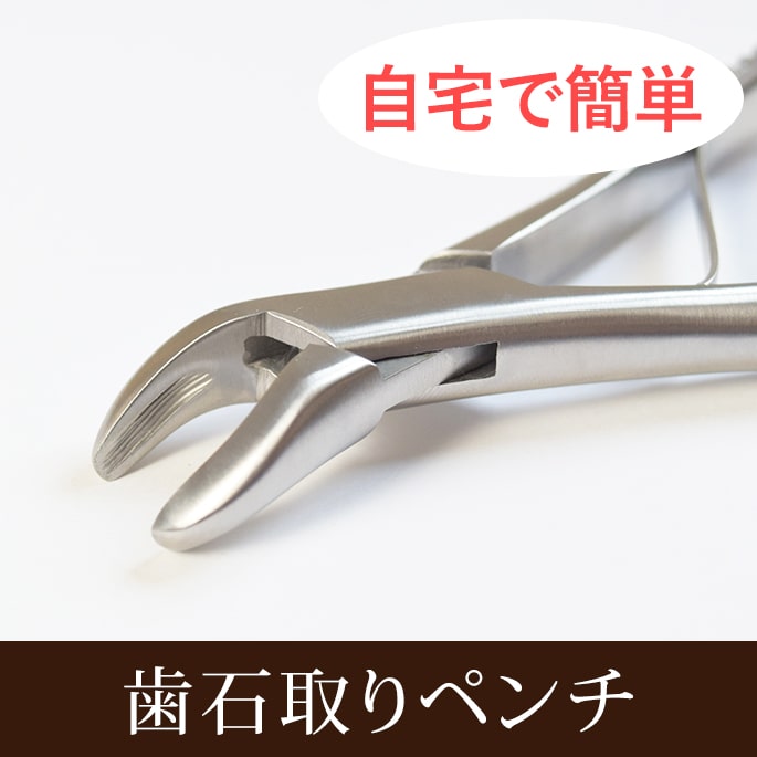 愛犬・愛猫用歯石取りペンチ｜ドッグフードの通販・帝塚山ハウンドカム