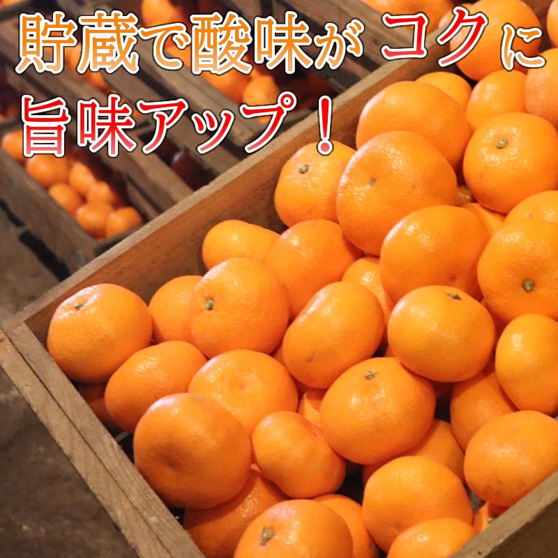 l 【公式】 うまちょく便 | 静岡・山梨名物・特産品を通販でお取り寄せ