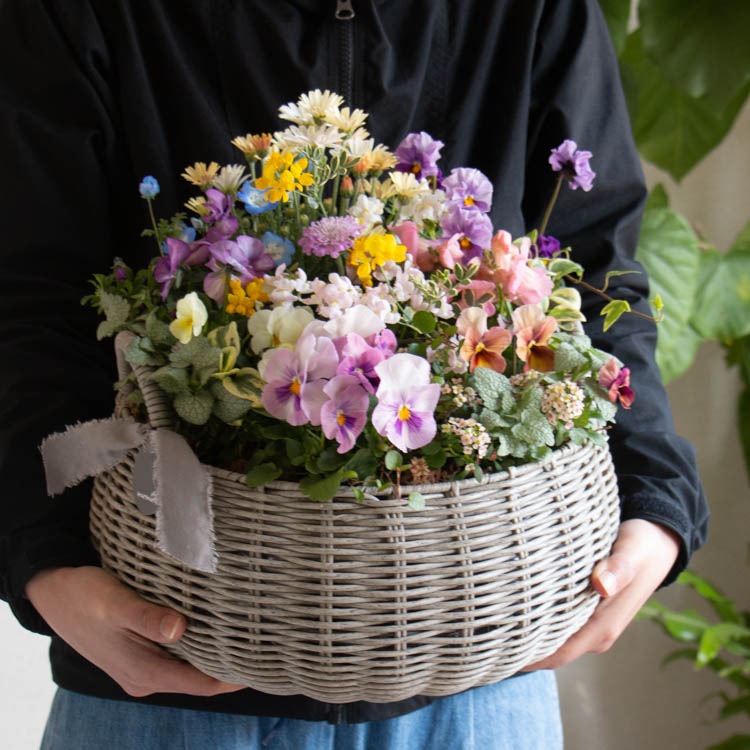 オーバルバスケットのパステルカラー寄せ植え パステルカラーの