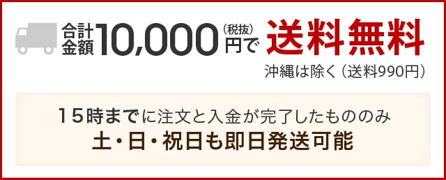 RRL / ダブルアールエル Antony ショルダー バッグ 藍染め デニム 地