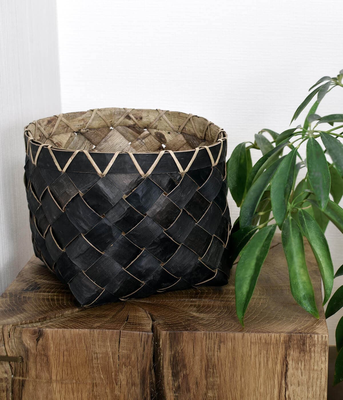 くるみ樹皮の置きかご/ 渡部萌｜CATAWARA（カタワラ）