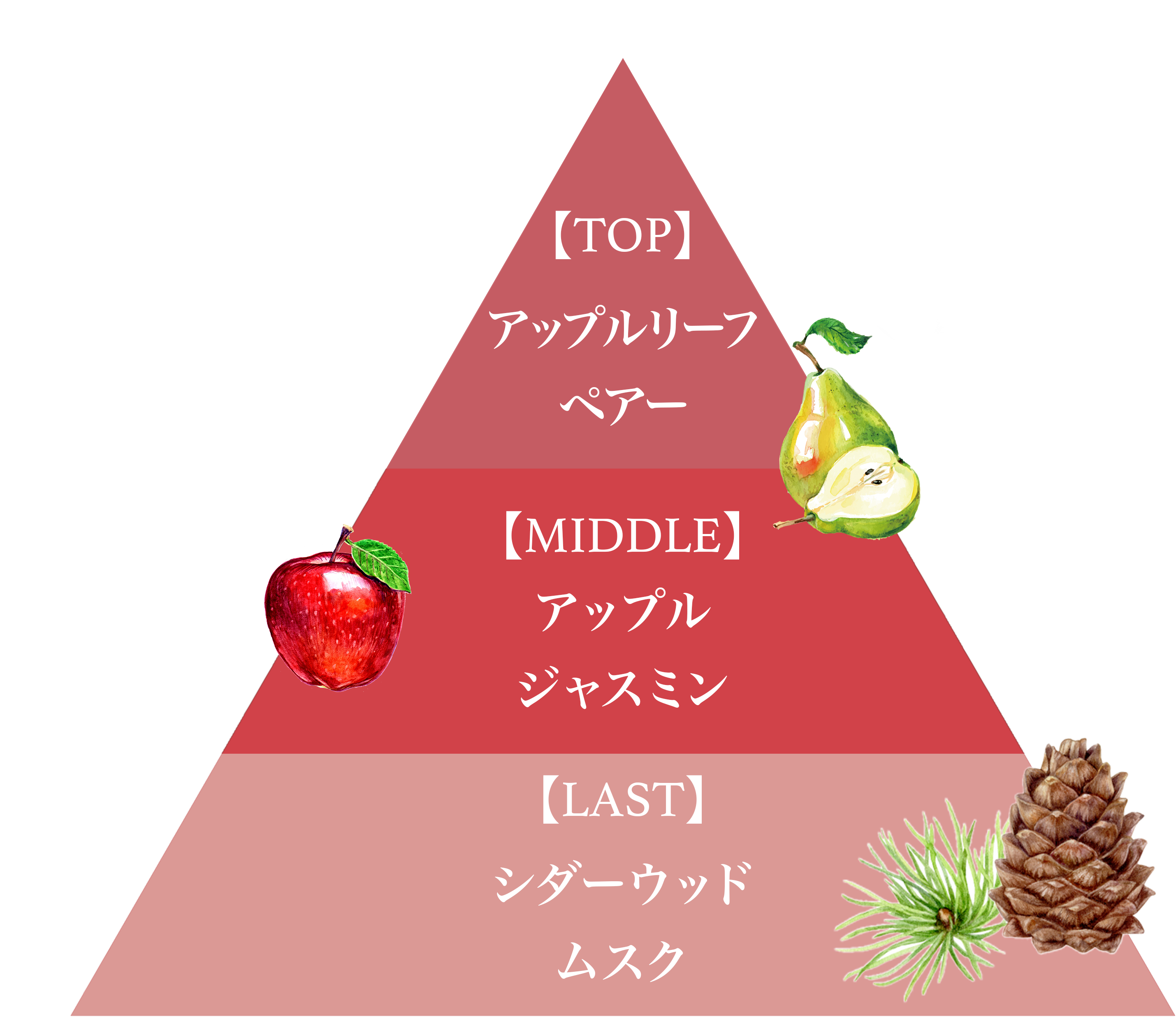 ミニフレグランスセット（リンゴ）/Mini Fragrance Set (RINGO