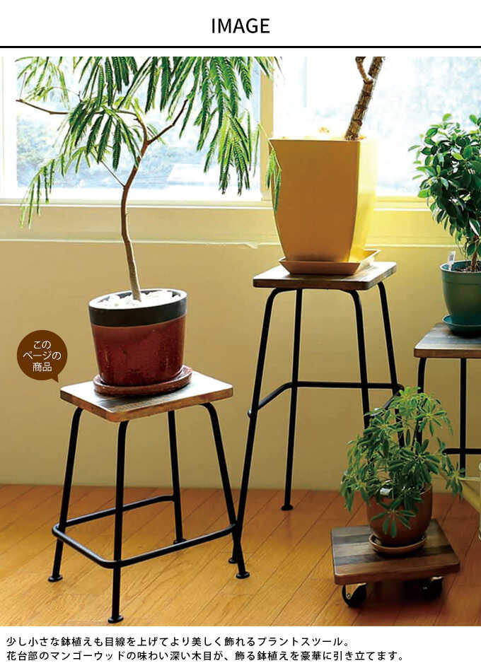 フラワースタンド 木製 高さ40cm 花台 プランタースタンドスツール