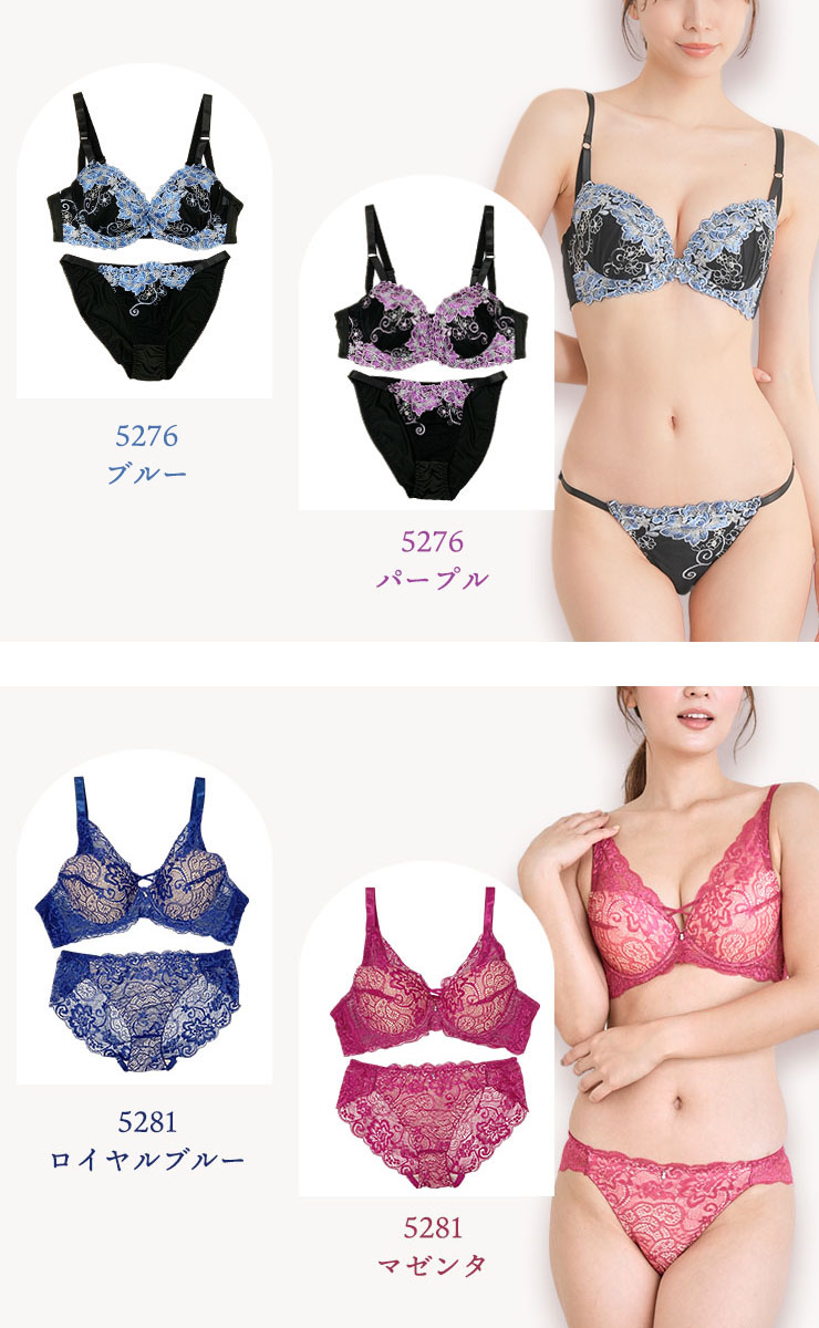 脇高ブラショーツセット D85 D90 D95 D100 (j5a-d)