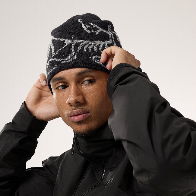 アークテリクス ARC'TERYX バード ヘッド トーク | GLAGH グラフ