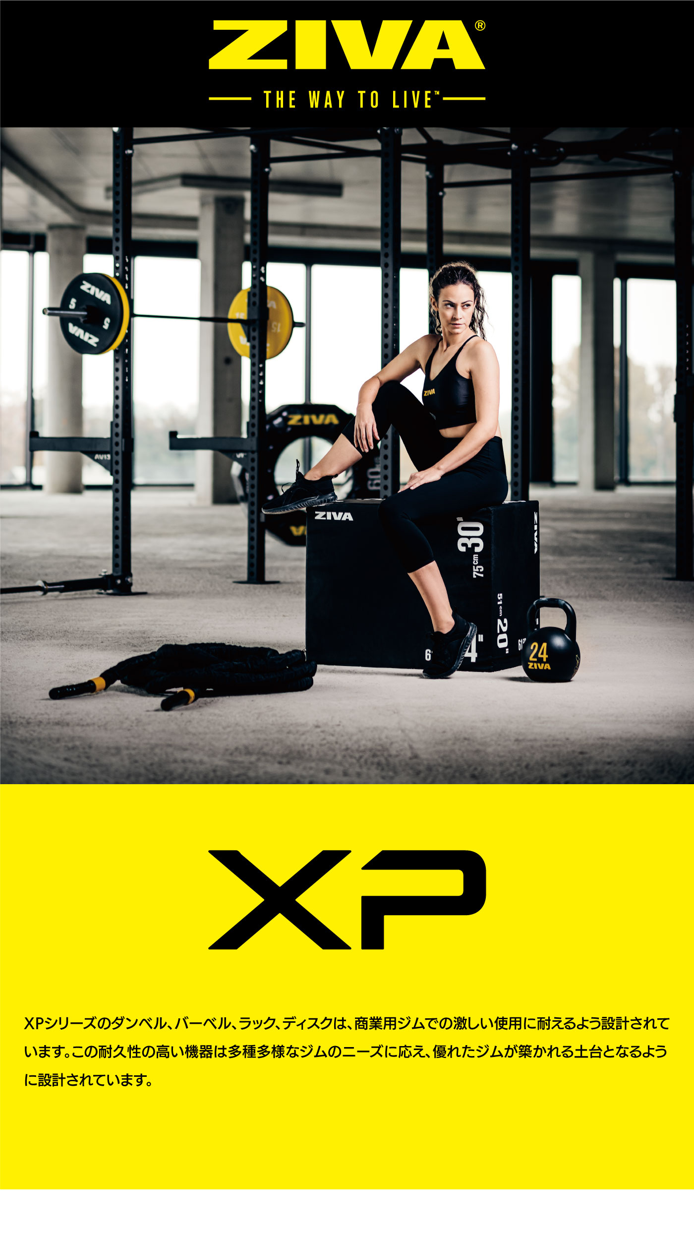 XP 2kg-20kg ウレタン ダンベル｜業務用ダンベル【ダンベル 鉄アレイ