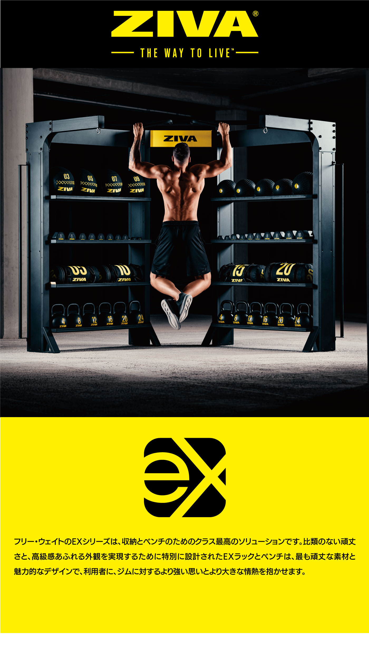 EX 1-10kg スタジオダンベルラック（10個収納）｜業務用ダンベルラック