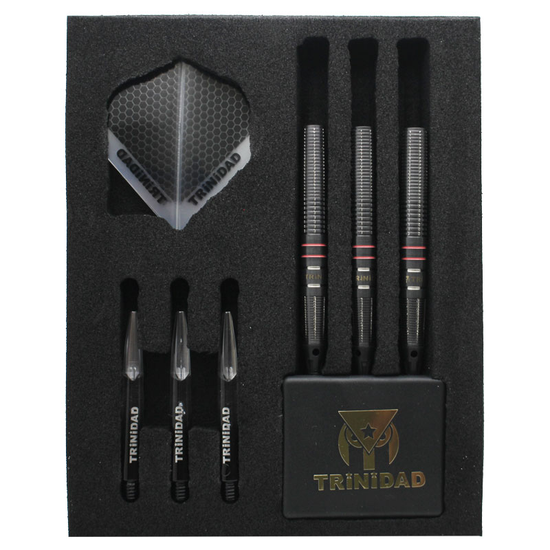 トリニダード ヒューゴ TRiNiDAD Hugo ダーツ バレル | ソフトダーツ