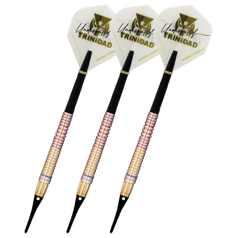 トリニダード キッド2 エボ TRiNiDAD KID TYPE2 EVO 後藤智弥 ダーツ