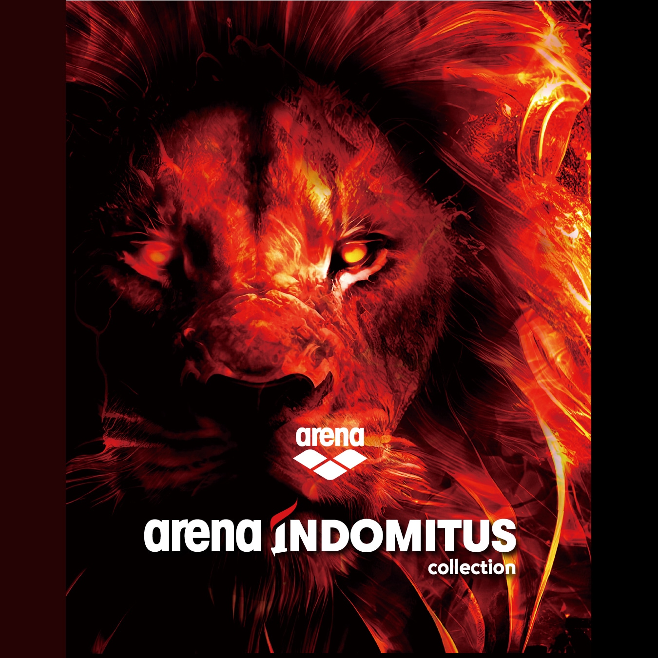 FINA承認 ARENA FIREFLOW COLLECTION レディース 高速水着 レース水着