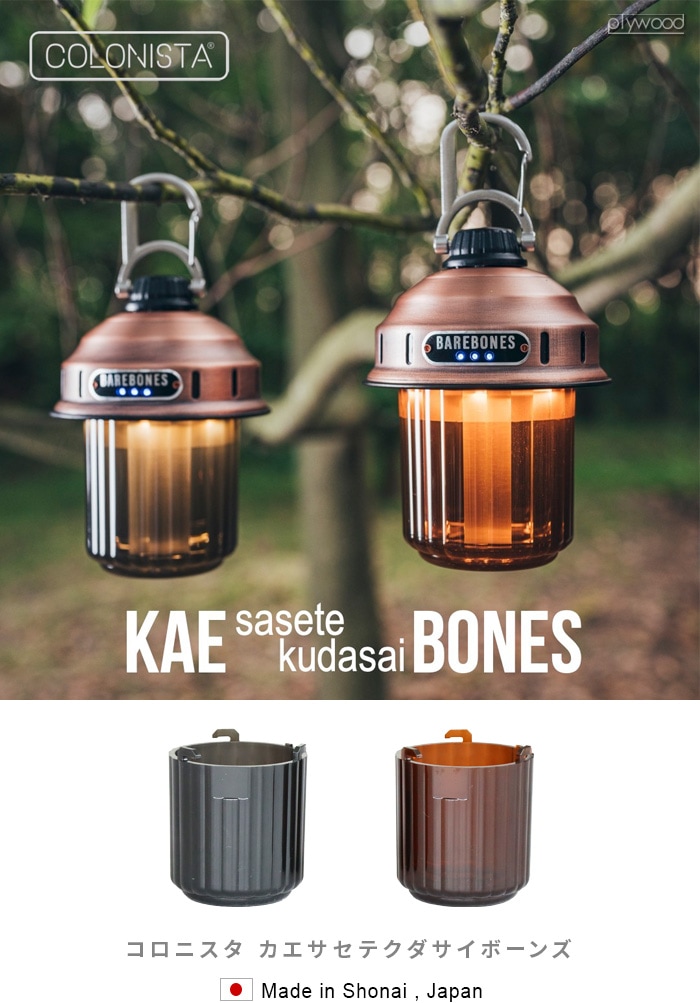 COLONISTA KAE sasetekudasai BONES コロニスタ カエサセテクダサイ