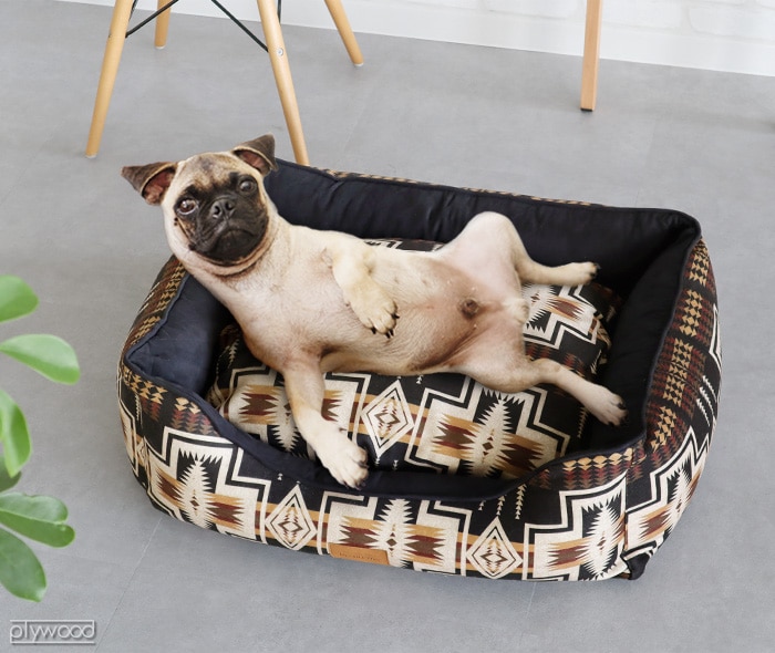 ペンドルトン PENDLETON Medium JQ Kuddler | 送料無料 特集