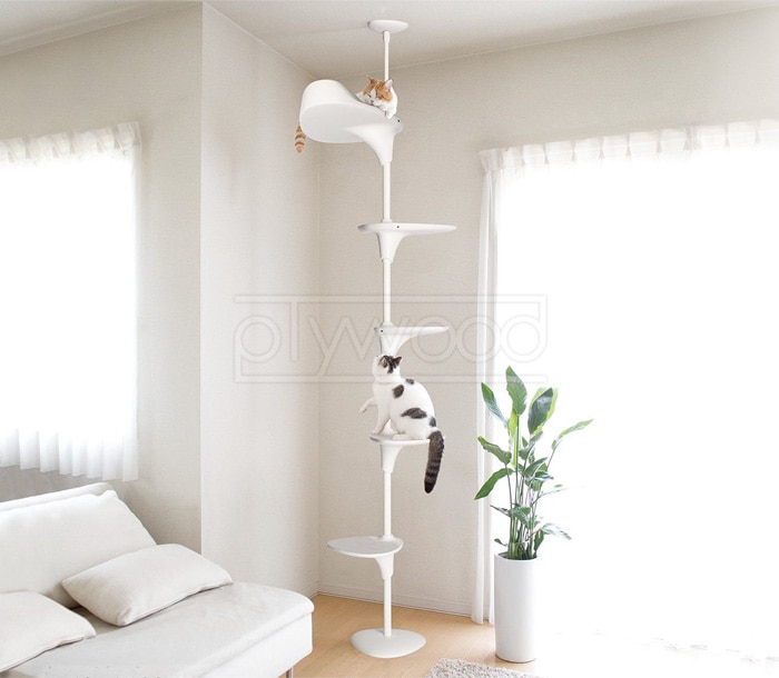 オッポ キャットフォレスト2 OPPO CatForest2 OT-669-702 | 送料無料