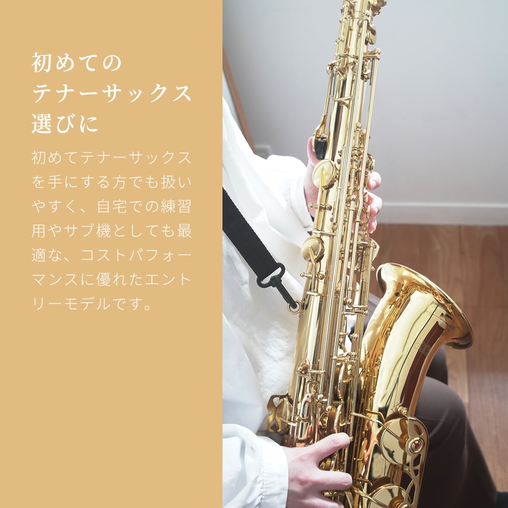 Soleil テナーサックス 初心者 入門セット STN-1【ソレイユ STN1