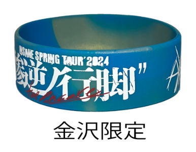 HAZUKI INSANE SPRING TOUR'2024”惨逆ノ行脚” -the encore- OFFICIAL GOODS