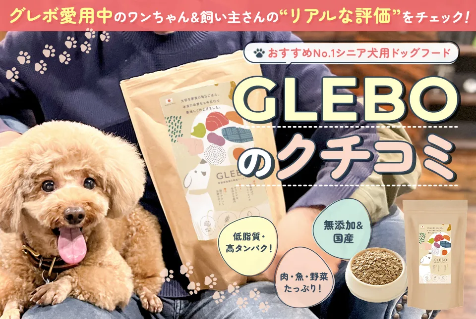 シニア犬用ドッグフード比較