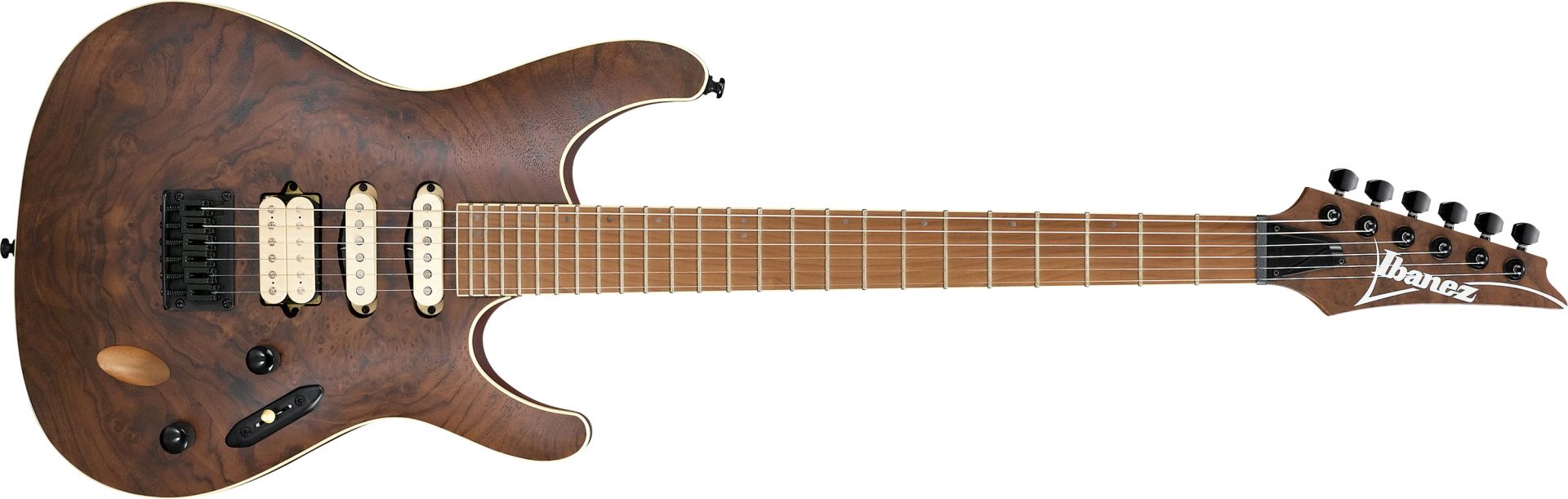 エレキギター】-Ibanez-エキゾチックなルックスに実践的なスペック