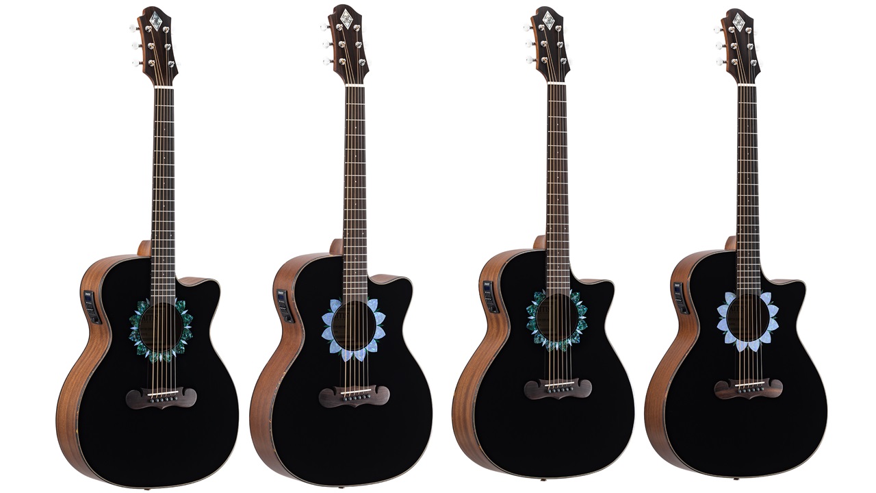 あ ZEMAITIS ZAG-100 ケース カポタスト付き ハート型 あ ZEMAITIS ZAG