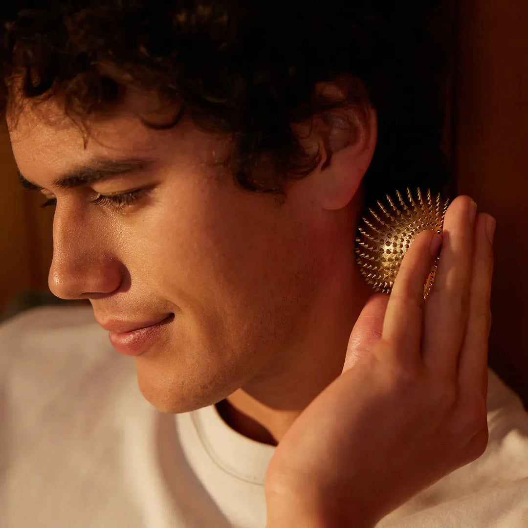 月額2,380円レンタルプラン：シャクティ ワンダーボール