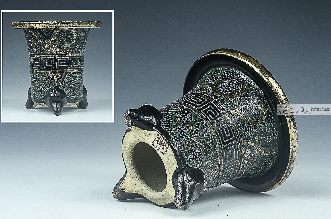 まるで古鉢！【古鉢写し京樂万年青錦鉢】2,5寸 - 東洋蘭専門店