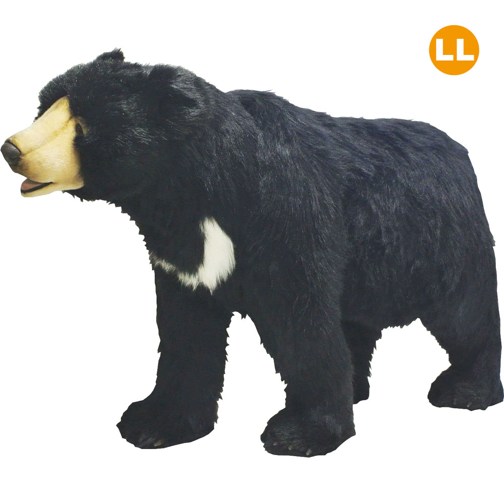 ツキノワグマ 135 | HANSA