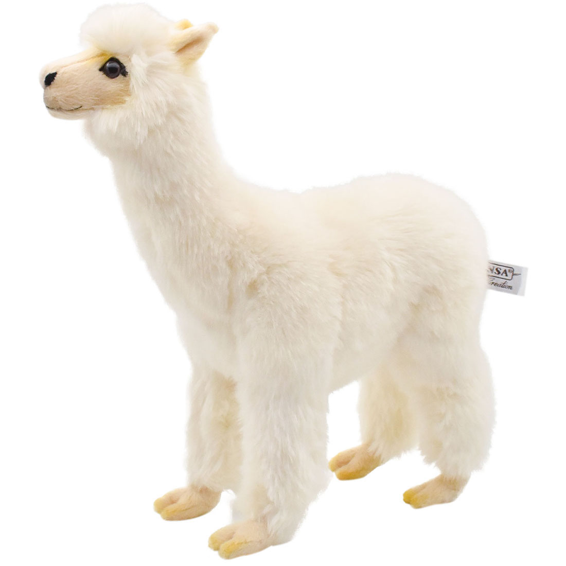 アルパカ 34 | HANSA