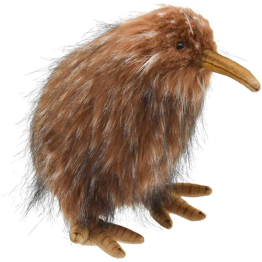 キーウィ 20 | HANSA