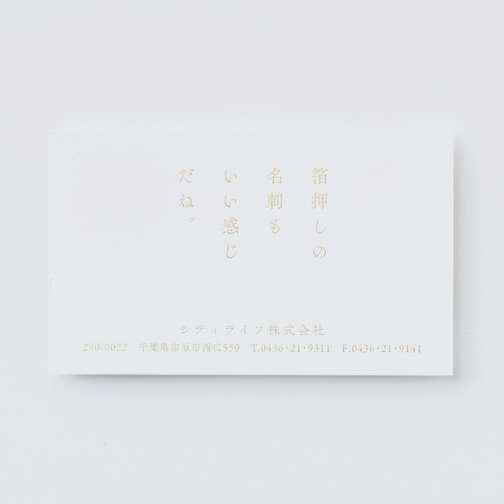 ヴァンヌーボVGスノーホワイト | 箔押しショップ｜HAKUOSHI SHOP