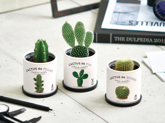 博多店】春から始めるサボ生活 - 店舗のイチオシ - ハンズ博多店