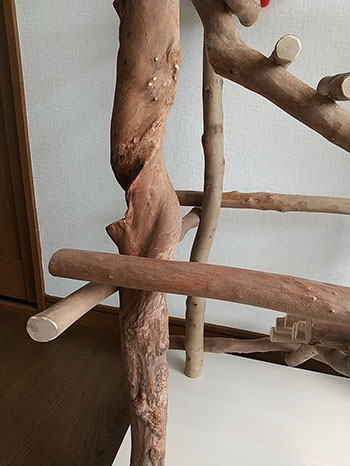 バードジムno500 インコの憩いの場