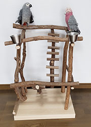 自然木のバードジム オウム インコ／ハッピーケース