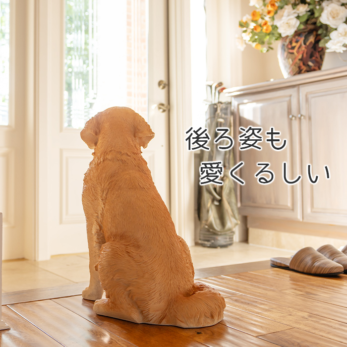 お座りして待てするわんこ《 ゴールデン・レトリバー（52.5cm