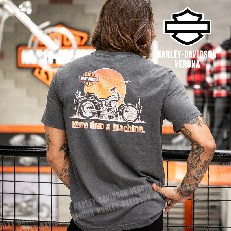 Camiseta Harley-Davidson® Softail Sunset | 96719-25VM