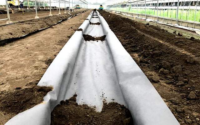 ルートラップシート | 取扱商品 | ハセガワ工業