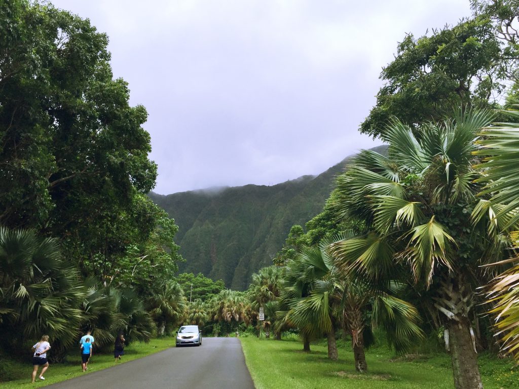 ハワイ-カネオヘの植物園「ホオマルヒア・ボタニカル・ガーデン」で癒