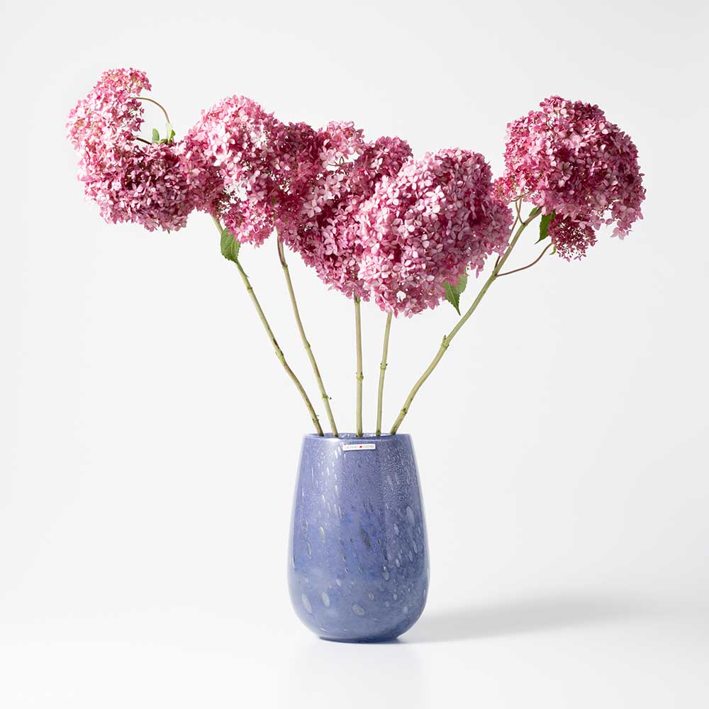 Stromboli S ヴェロニカ